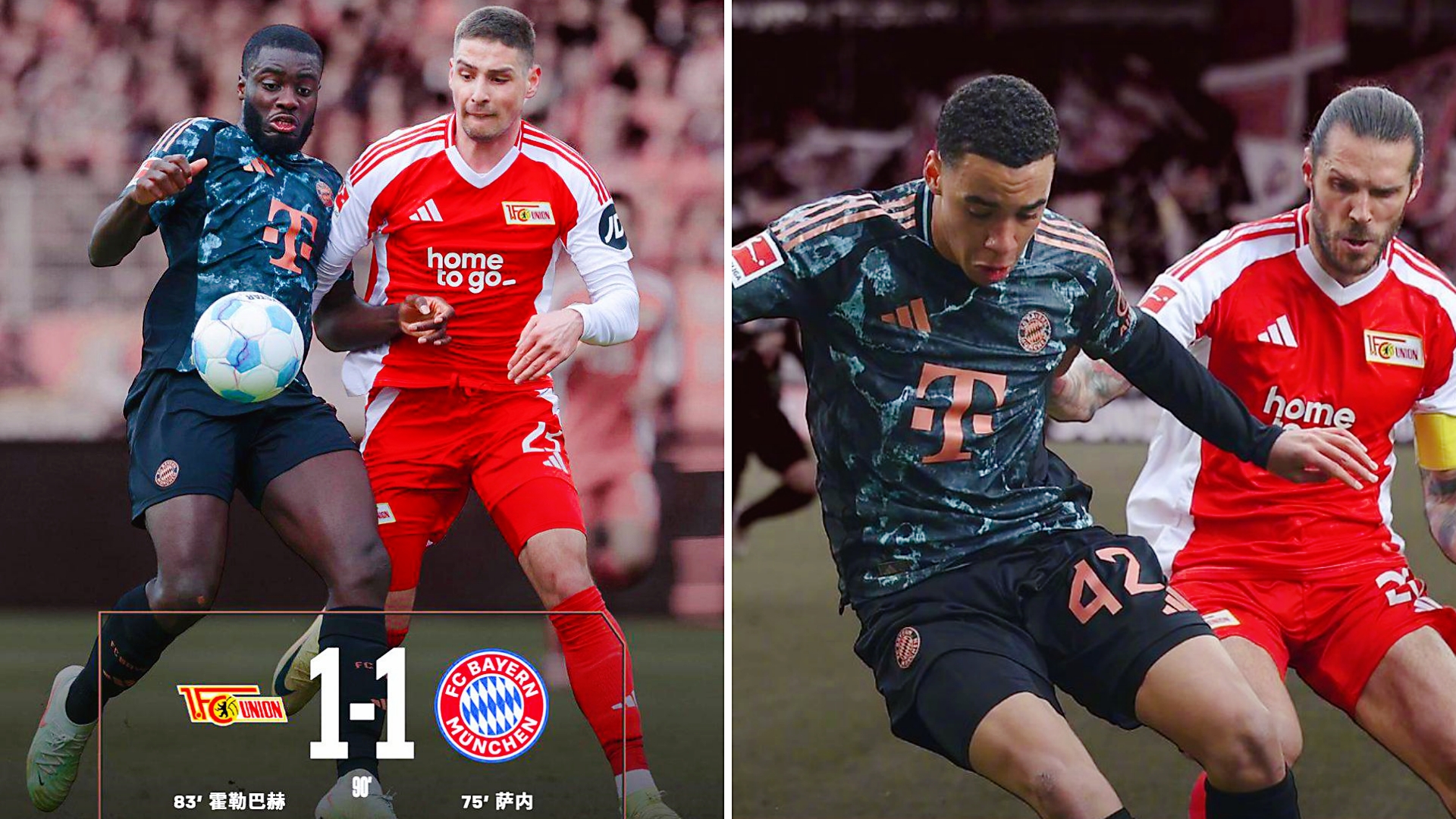 ABG赛地聚焦：德甲转会期热度飙升，萨克拉门托国王豪取连胜，震撼外界，数据趋势出现新变化的简单介绍